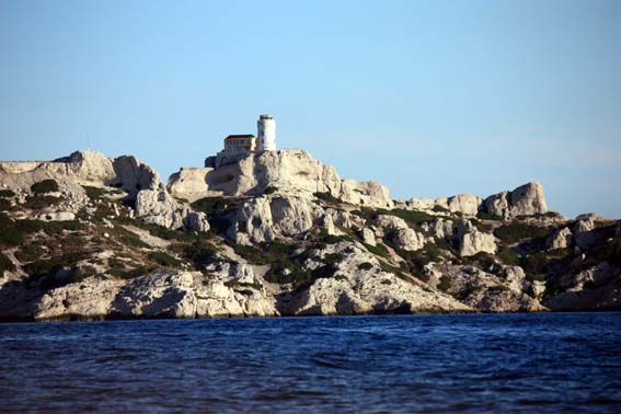 Amer remarquable dans la baie de Marseille