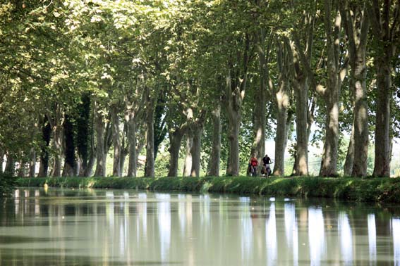 Une fois de plus... c'est beau!