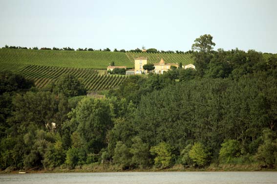 IMG_3348z1 Festival de chateaux et vignes...
