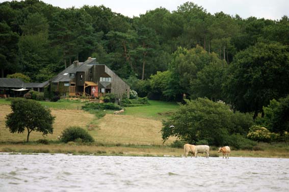 Regardez bien... y a des vaches qui marchent sur l'eau...