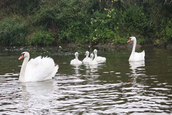 Famille au complet... Papa un peu trop protecteur...